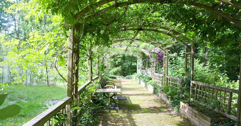 Pergola Brico Dépôt : le guide pour bien choisir sans se tromper