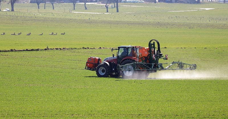 Roundup Ultra Plus : l'allié indispensable pour un jardin sans mauvaises herbes