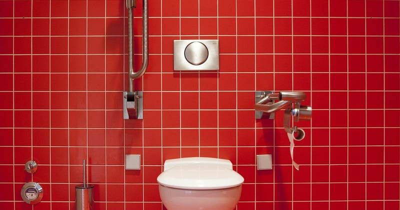 Vers noir dans les toilettes : causes et solutions efficaces