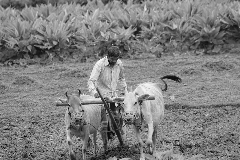 Préparer le terrain : l'étape que tout le monde néglige