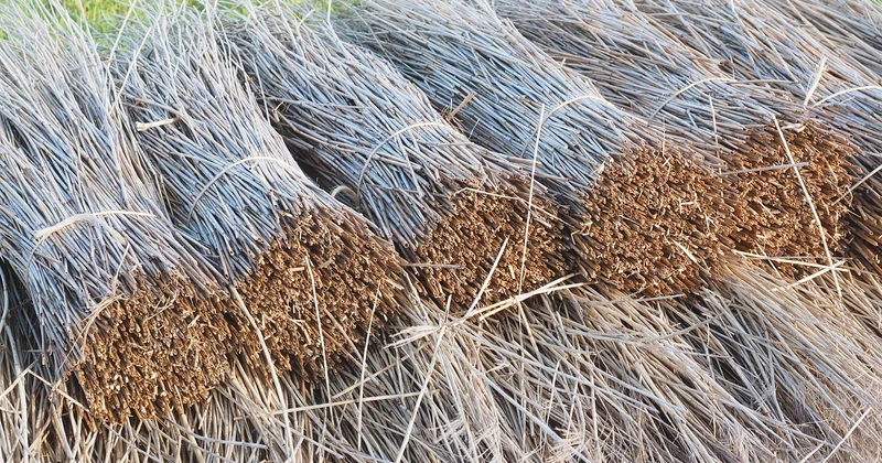 Combien coûte le traitement de tuiles poreuses