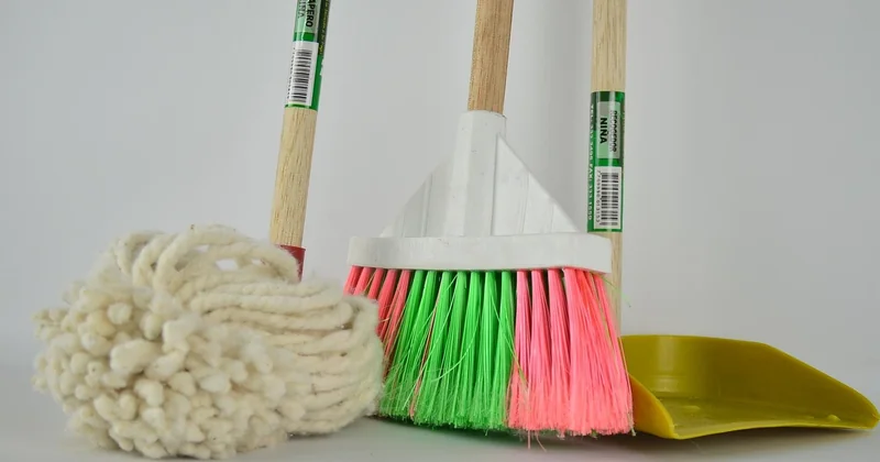 Solutions efficaces : comment se débarrasser des vers noirs durablement