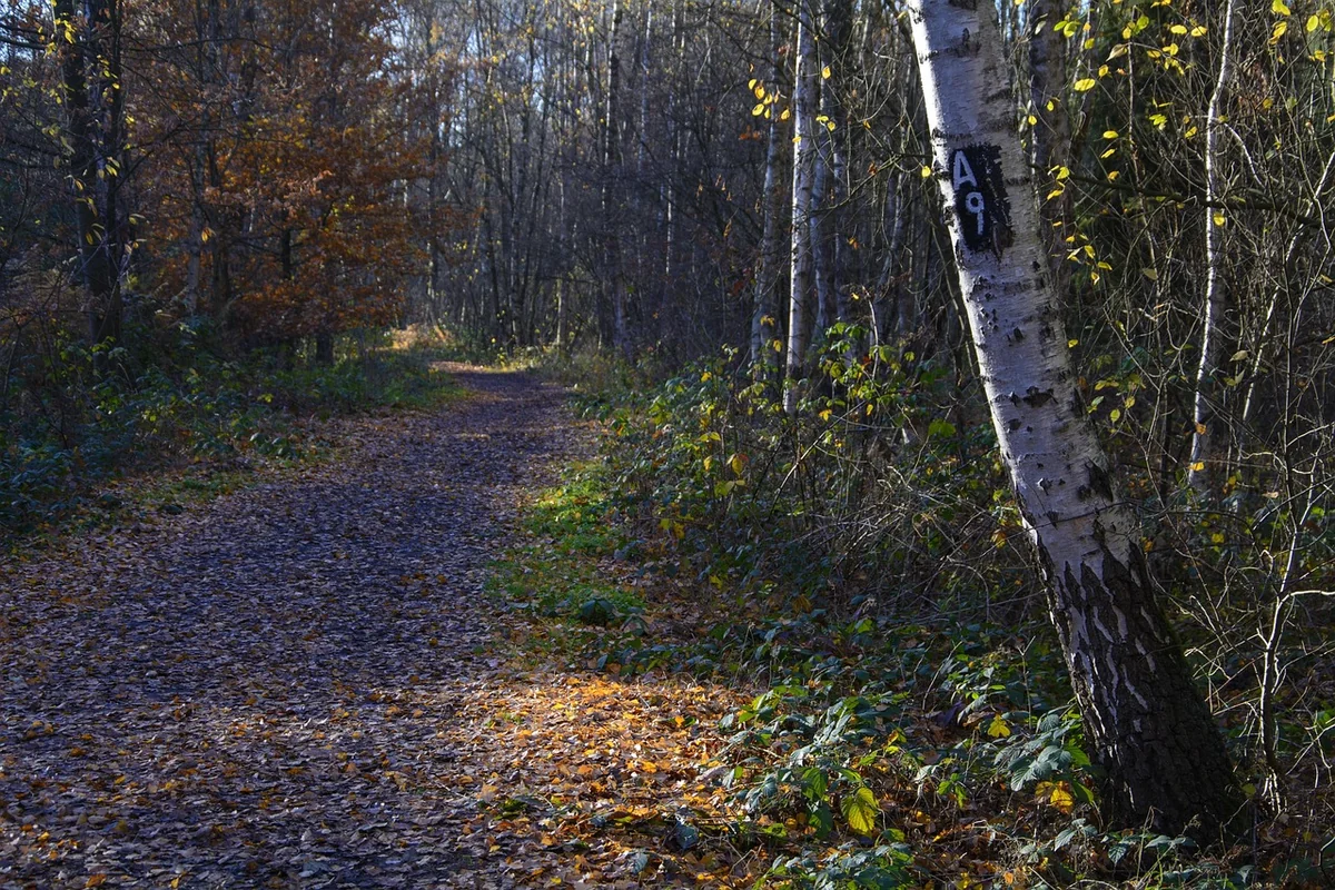 Réparation de carrelage cassé : faire soi-même ou appeler un artisan en 2026 ?