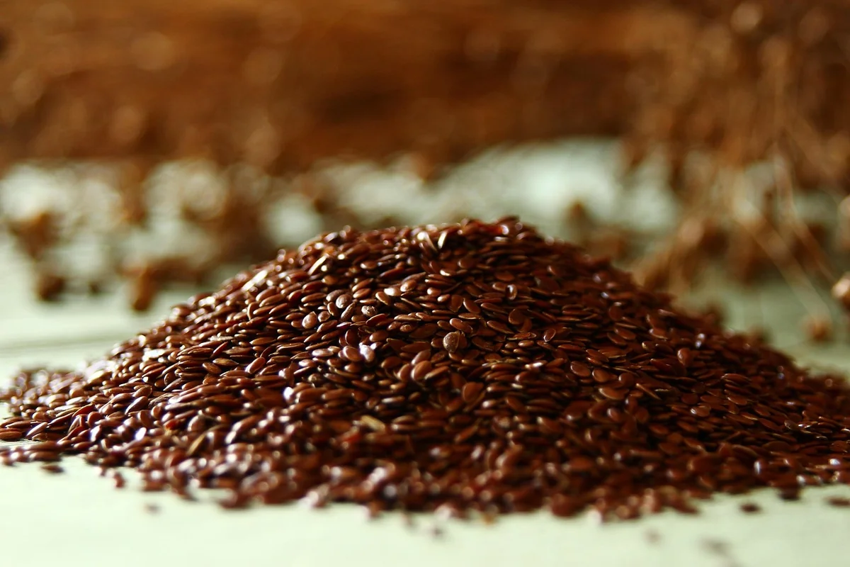 Découvrez comment utiliser une bouillotte graine de lin sans micro-onde en 2026